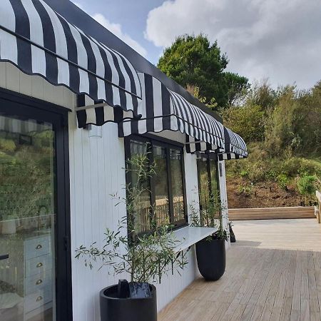 Tiny House With Greenhouse Dining Lower Hutt Eksteriør billede
